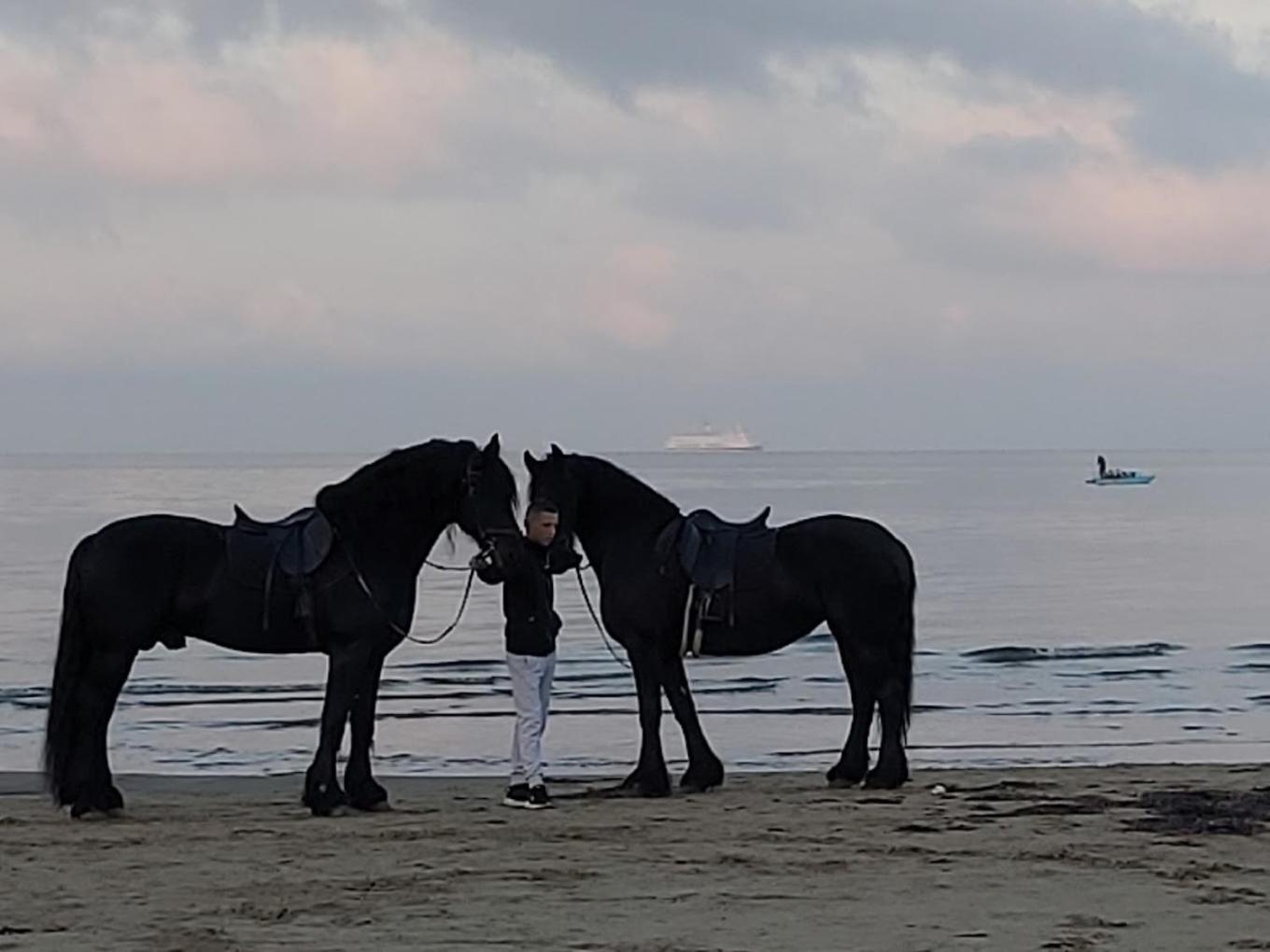 Perla 3 - Seaview & *